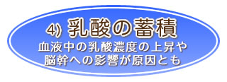 乳酸の蓄積
